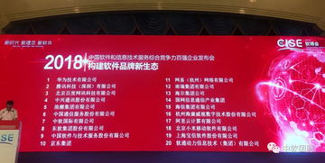 中軟國(guó)際躋身百?gòu)?qiáng)第七，彰顯軟件服務(wù)綜合實(shí)力