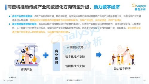 透視用戶需求，深挖服務潛力 2022中國商業(yè)查詢行業(yè)洞察